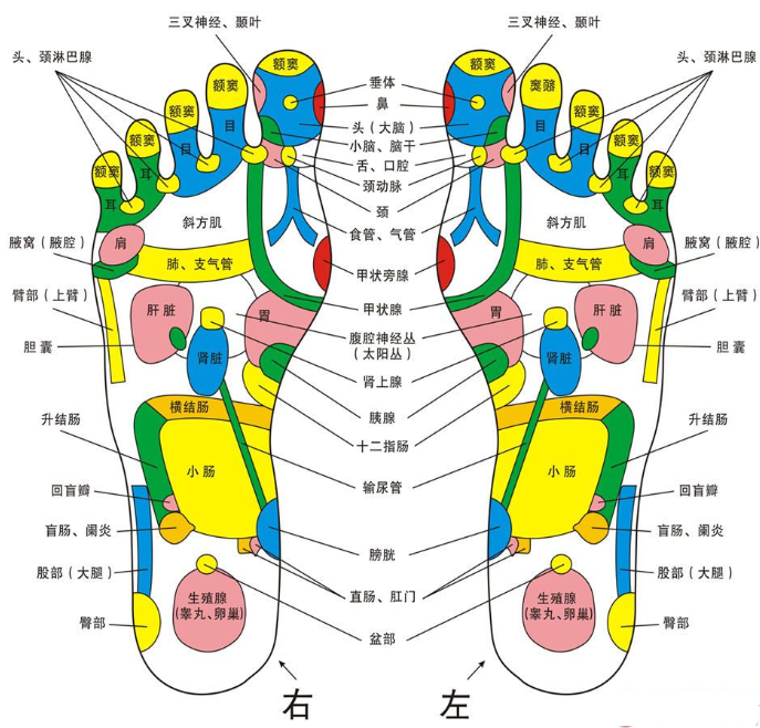 微信图片_20190626141505